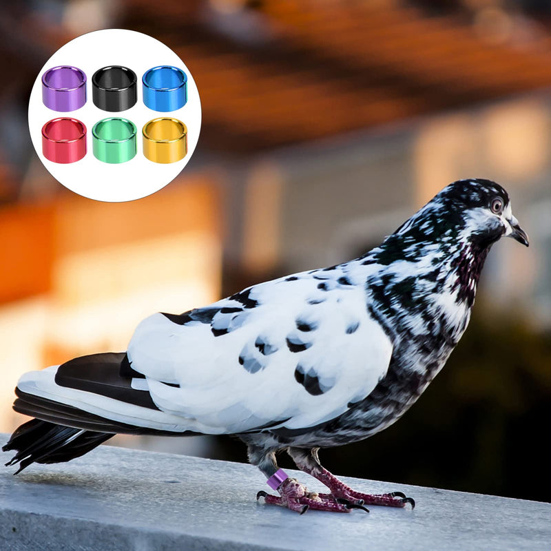 YARNOW 18 Pcs Chicken Leg Bands Metal Pigeon Rings Poultry Leg Bands for Pigeon Doves Chicks Bantam Quail Lovebirds (Random Color) - PawsPlanet Australia