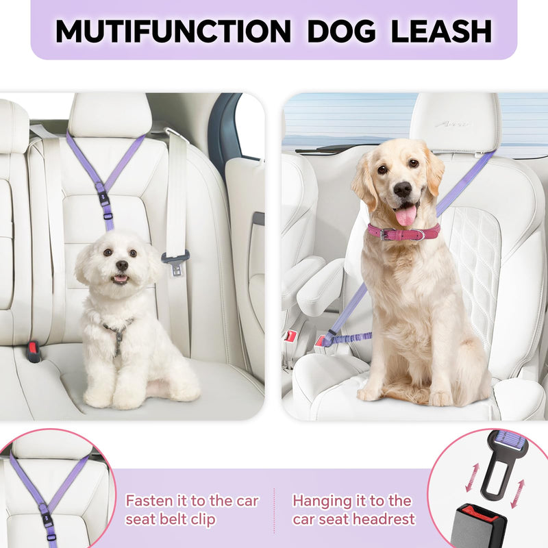 Hands Free Dog Leash, Adjustable Heavy Duty Bungee Waist Leash Belt for Medium Large Dogs Walking Running Hiking with Reflective(Purple) Purple - BeesActive Australia