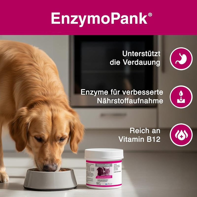 alfavet EnzymoPank Powder for Dogs & Cats (100 g) – Digestive Support Supplement – For Exocrine Pancreatic Insufficiency (EPI) – With Enzym-Support Formula & Vitamin B12 Pig 100GR