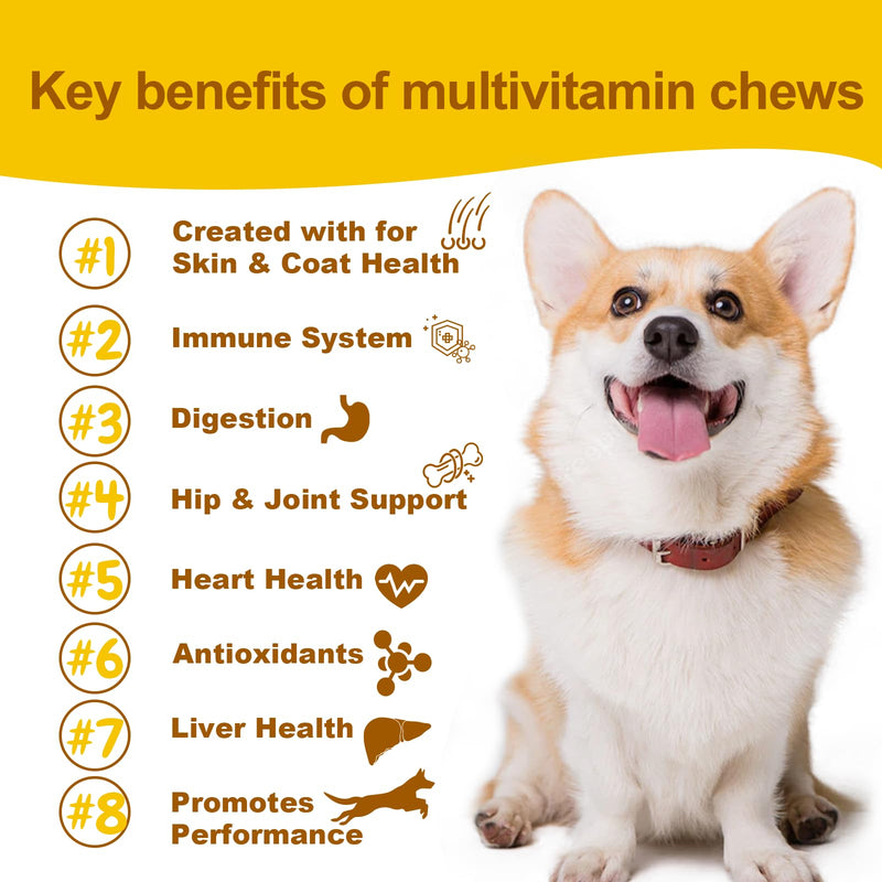 Daily Dog Multivitamin, Chewable Dog Vitamins and Supplements for Hip & Joints, Skin & Coat, Probiotics & Omega 3 Fish Oil for Dogs - Senior & Puppy Multivitamin - 90 Chews