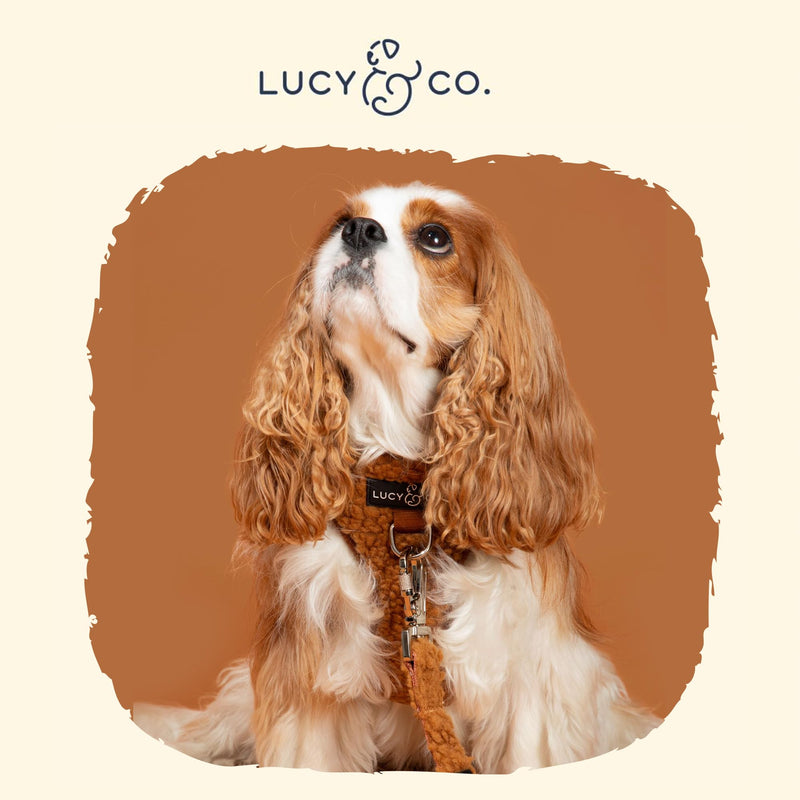 Lucy & Co. Cute No-Pull Cinnamon Teddy Harness - Stop Pulling & Walk Easy - Harness Available in XS-XL for Small, Medium, and Large Dogs - Teddy Brown (Medium) - BeesActive Australia