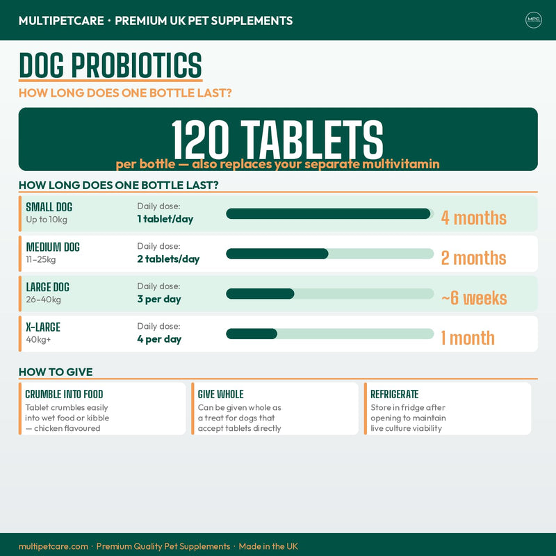 Probiotics for Dogs – 5-Strain 2 Billion CFU + Digestive Enzymes & Prebiotics | Gut Health, Firm Stools, Less Gas & Bloating | Full B-Complex Vitamins in One Tablet | Chicken Flavor | UK GMP | 120 Ct