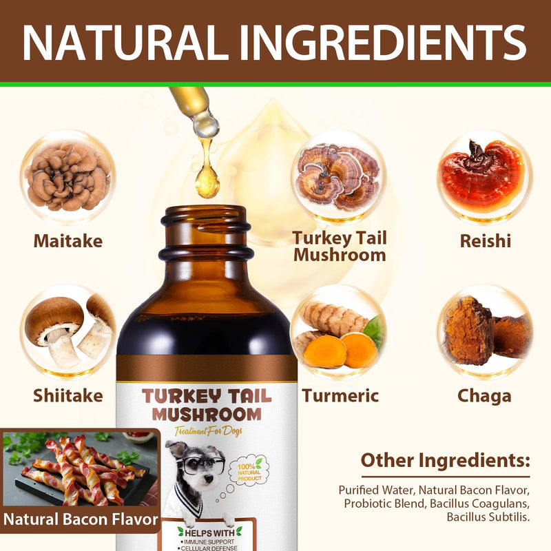 Turkey Tail Mushroom for Dogs, Dogs Turkey Tail Mushroom Liquid Supplement for Immune & Digestive, Joint Energy Support, 5X Mushrooms with Probiotic & Turmeric | 100% Natural, Alcohol-Free, 60ml 60 ml (Pack of 1)