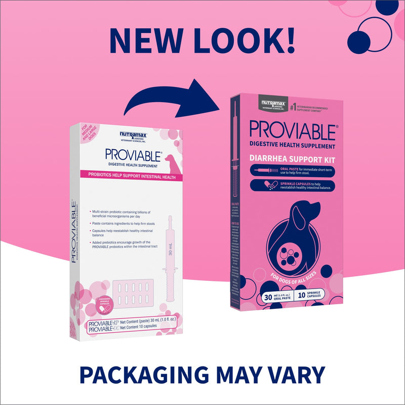 Nutramax Proviable Probiotics for Dogs, Diarrhea Support Kit, Digestive Health Supplement with Multiple Strains of Bacteria, Plus Prebiotics, Kaolin and Pectin, 30 ml Paste and 10 Capsules Dogs - 30 ml (Pack of 10)