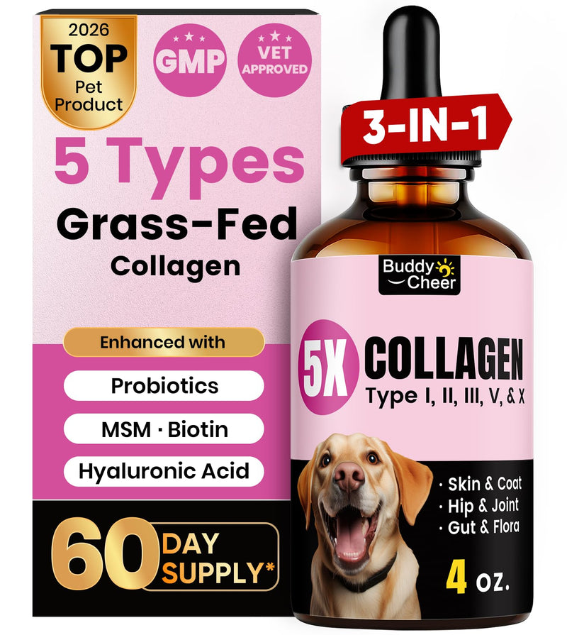 Premium Collagen for Dogs & Cats – 5 Types of Grass-Fed Collagen (I, II, III, V & X), Fast Allergy & Itch Relief Dog Colágeno with MSM, Biotin & Hyaluronic Acid – Supports Healthy Skin & Joints –120ml Bacon