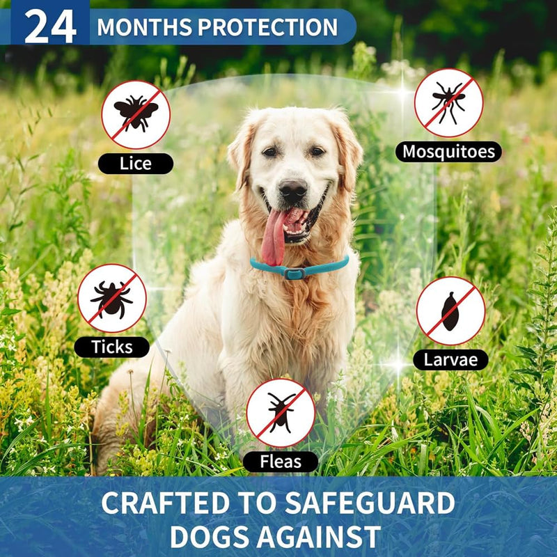 BKEPDY Dog Collar Pack of 2 Effective Protection Against Pests Waterproof Adjustable Flea and Tick Protection for Dogs All Sizes and Breeds (Blue-2) Blue-2 - BeesActive Australia