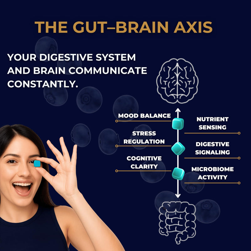 Gut Health & Bloating Relief Gummies – Digestion Support with Prebiotic Fiber, Inulin & Ashwagandha – Stress, Nervous Stomach, Sleep & Calm Support – Gut-Brain Axis Formula with Chamomile & Lemon Balm