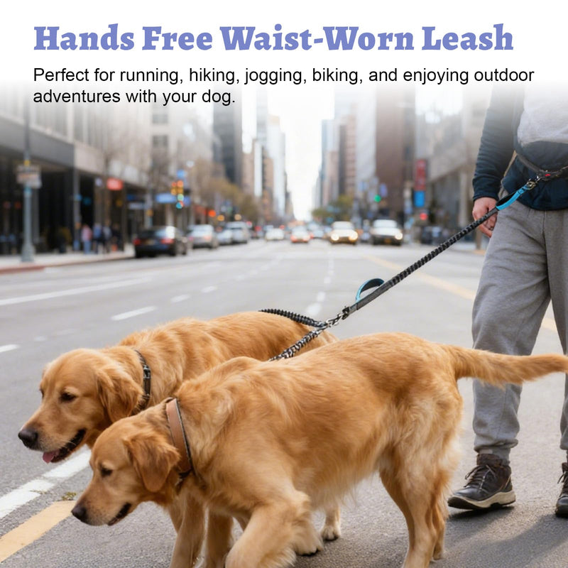 Hands Free Double Dog Leash for Two Dogs- No Tangle No Pull Dual Leash with Padded Adjustable Waist Belt & Reflective Stitching - Ideal for Running, Jogging, Hiking with Medium & Large Breeds Blue - BeesActive Australia