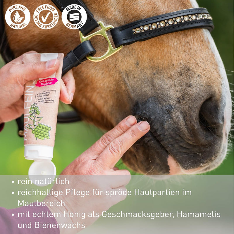 Bense & Eicke MaulFein 100 ml - Natural Care Balm for Horses with Honey, Beeswax and Witch Hazel Protects and Keeps Skin Elastic