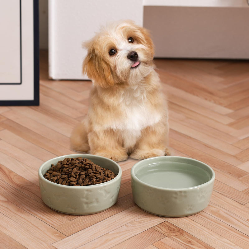 Cute Dog Bowls for Food and Water, Ceramic Dog Bowl Set of 2 for Small Size Dogs, 5 Inch Wide Pet Dishes for Puppy, Green - BeesActive Australia