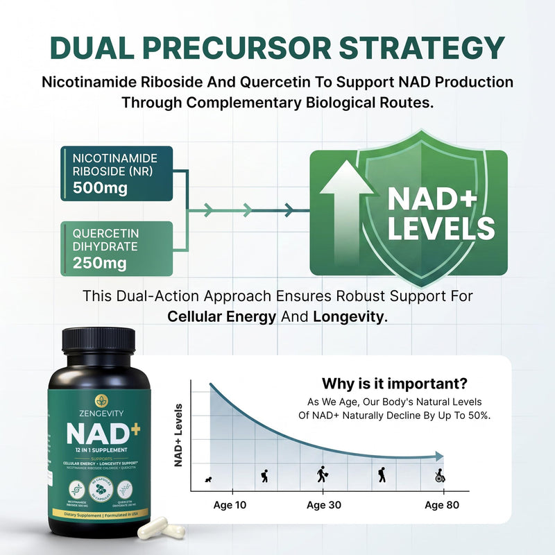 NAD+ Supplement with Quercetin, Resveratrol, Green Tea Extract, Fisetin & L-Theanine - Multi Ingredient Capsule Formula - 90 Capsules - 30 Servings