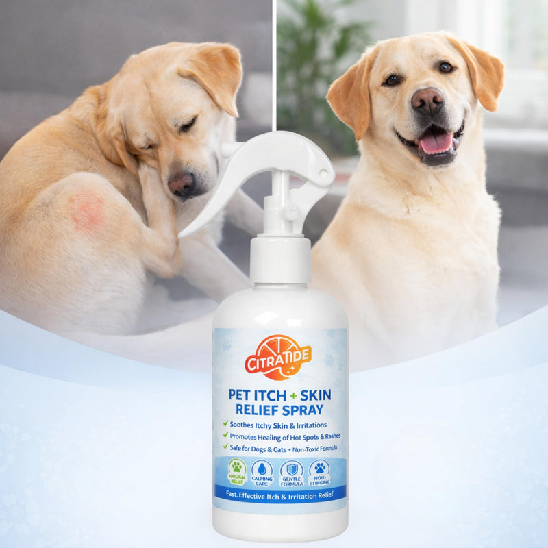 Pet Itch + Skin Relief Spray for Dogs & Cats – Gentle Skin Soothing Spray, Helps Reduce Itching & Irritation, Non-Toxic, Lick-Safe Formula, 8 oz