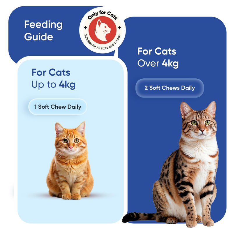 animigo Multivitamins and Minerals for Cats - 120 Soft Chews - With 18 Vitamins & Minerals - Easy to Chew & Gentle Formulation - Suitable For All Breeds - Lactose-Free & Soy-Free