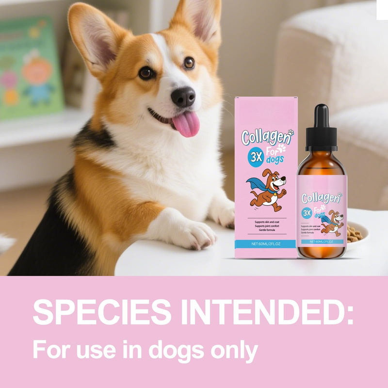 60ml Collagen for Dogs,Liquid Dog Collagen Drops,Quick Absorption C ollagen Drops for Digestion,Skin,Coat,Supports Joint Mobility,Itch Skin Relief