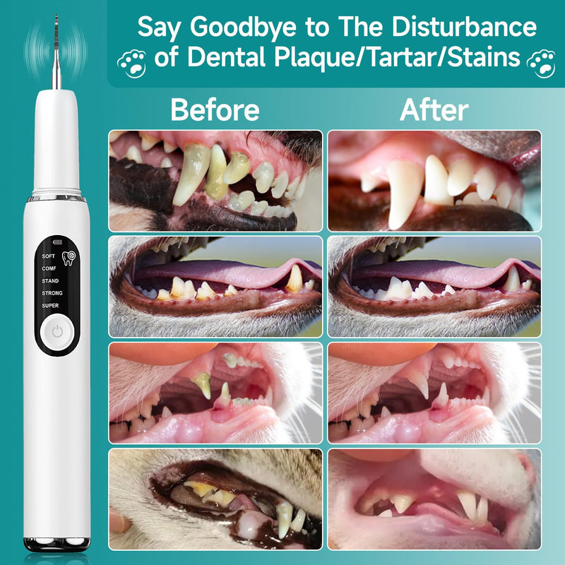 BRAVECOW Pet Plaque Remover Kit, Dog & Cat Dental Tool for Tartar Removal with LED Light, Teeth Cleaning Brush