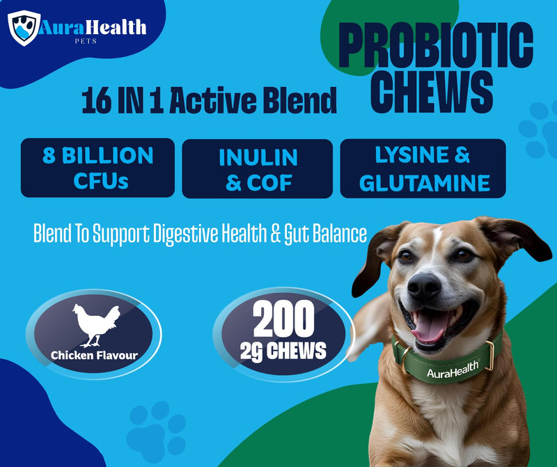 Probiotic 200 Chews up to 4-month supply for Small to Madium Dogs 16-in-1 Support Gut Health, Diarrhea & Allergies – 8 Billion CFUs, Prebiotics, Glutamine, Inulin, Omega-3, Chicken Flavour. 200 Chews - 2g