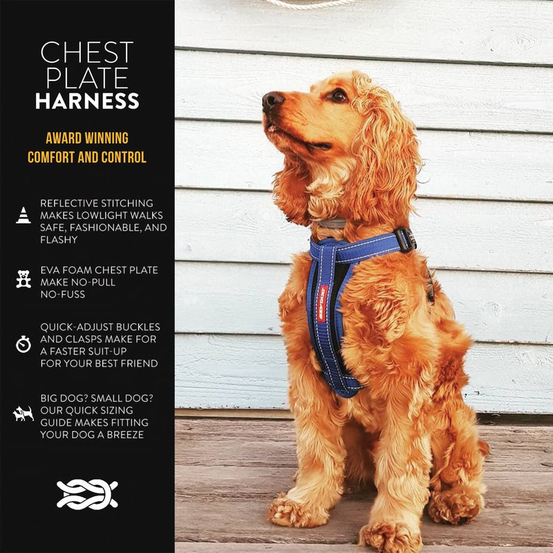 EzyDog Premium Chest Plate Custom Fit Reflective No-Pull Padded Comfort Dog Harness - Perfect for Training, Walking, and Control - Includes Car Restraint Attachment (Large, Blue) Large - BeesActive Australia