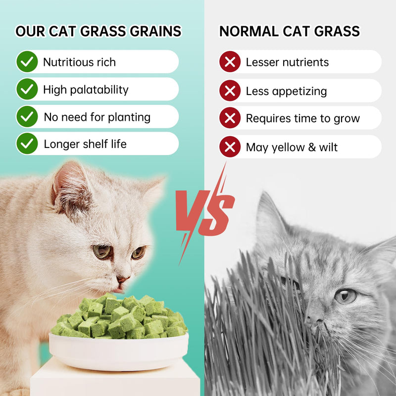 Cat Grass Treats Granules - Natural Freeze Dried Cat Snack for Cat Chew Teeth Cleaning and Hairball Removal Edible（80g） Cat Grass Sticks (2.6OZ) - PawsPlanet Australia