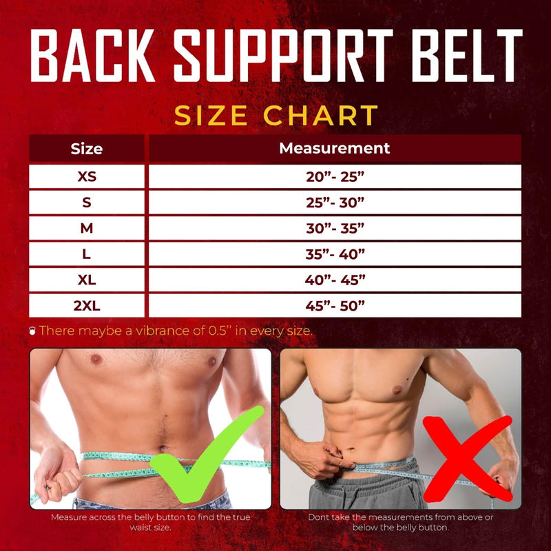 Weight lifting Belt 6 Inch Auto-Lock Curved Padded Back Lumbar Support Gym Belt for Fitness Exercise Bodybuilding Powerlifting Workouts Deadlifts Squats & Weightlifting Men Women Black M - BeesActive Australia