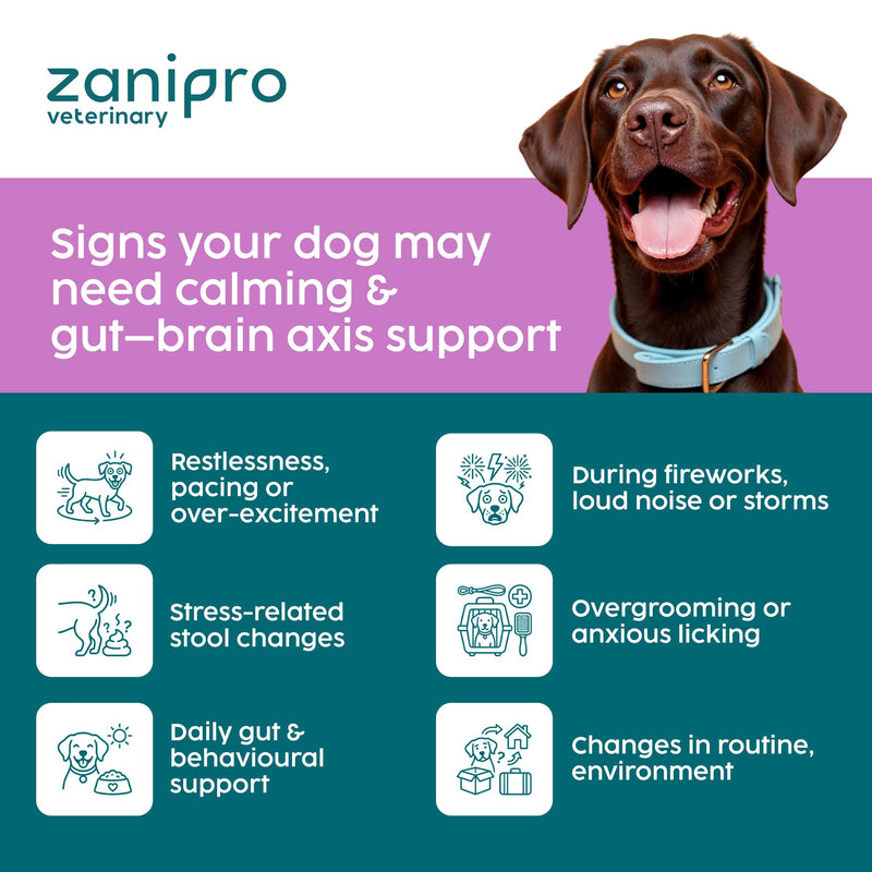 Dog Calming Supplements, Probiotics & L- Tryphtophan Powder for Anxious Dog, Stress and Anxiety for Dogs Support, Fireworks, Car Travel, Long Term Relaxation Treatment - Beef Flavour, 100g