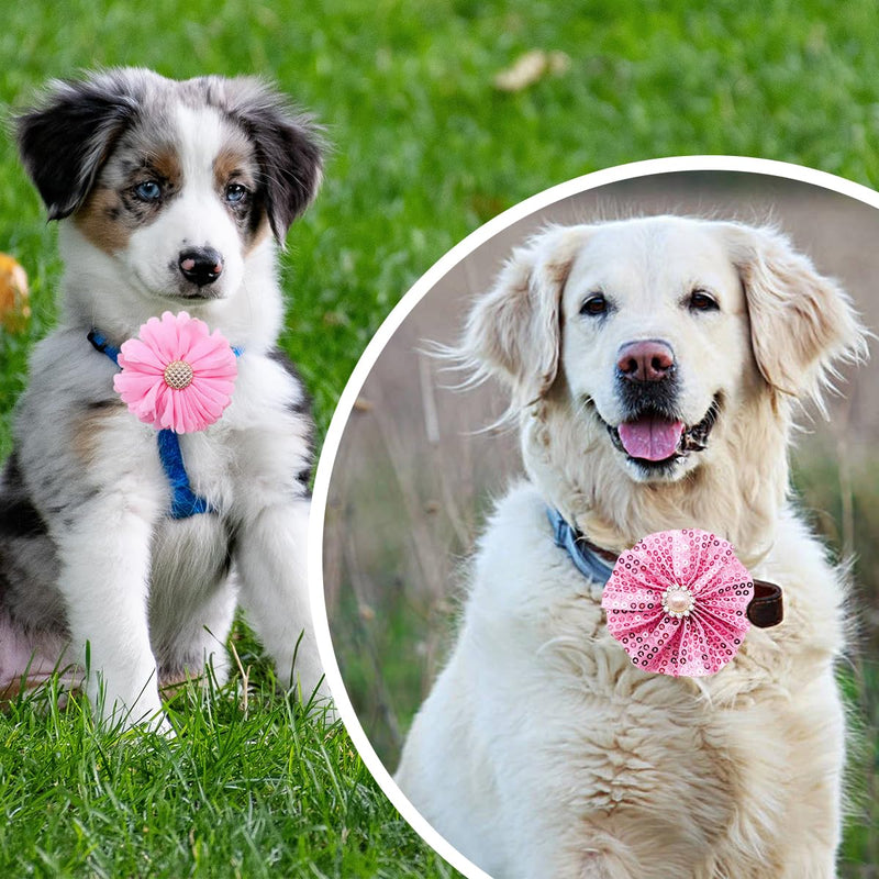 PET SHOW 4pcs Dog Flowers Collar Charms Slides Attachment Accessories For Small Medium Large Dogs Cat Puppy Bows Grooming Supplies… G 2.5"/2.8" - BeesActive Australia