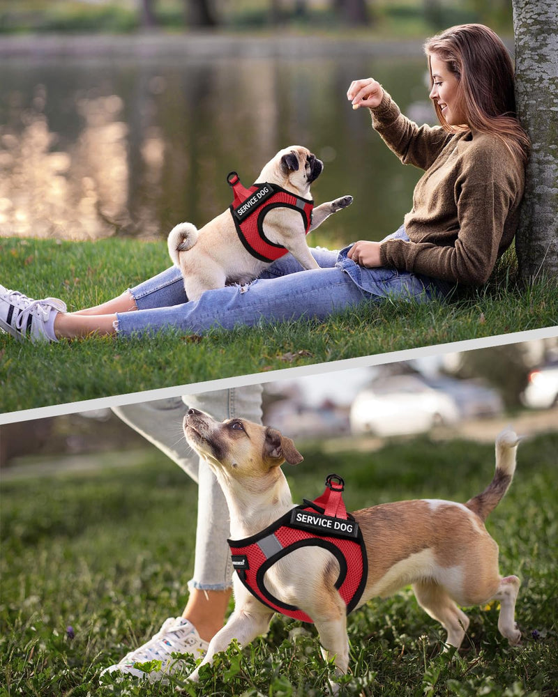 FAYOGOO Service Dog Vest for Small Breed - Lightweight Dog Harness with 6PCS Removable Patches - Puppy Harness and Leash Set for Walking,Training Red S(Chest 12''-14'') - BeesActive Australia