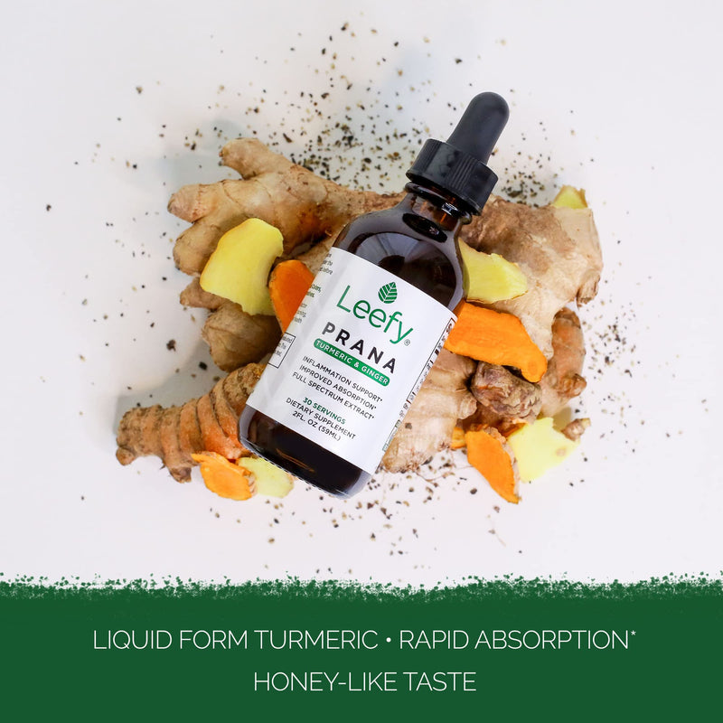 Leefy Organics PRANA - The Original Organic Liquid Turmeric Curcumin and Ginger Extract with Black Pepper | Supplement to Support Heart, Brain, Joint Health, Inflammatory Response, Immunity, Drops - BeesActive Australia