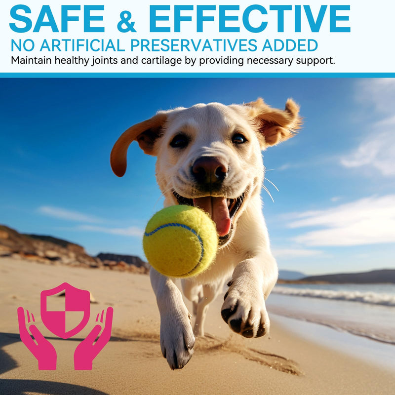 Joint Supplements for Dogs, Pain Relief for Dogs, Dog Joint Supplements for Senior Dogs, Chondroitin Drops for Dogs, Hip & Joint Glucosamine Drops for Dogs, Mobility Pain Relief, Natural Formula, 60ML