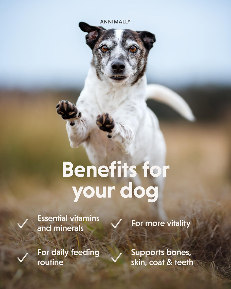 Annimally Dog’s Daily Multivitamin Tablets for Dogs 85 pcs. | Important vitamins for dogs, with minerals & trace elements, ideal for the daily feeding routine, made in Germany
