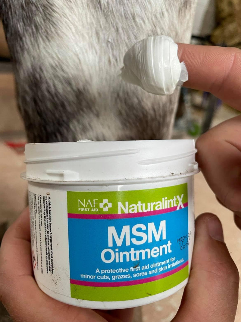 Natural Animal Feeds NAF MSM Ointment 250 g (Pack of 1)