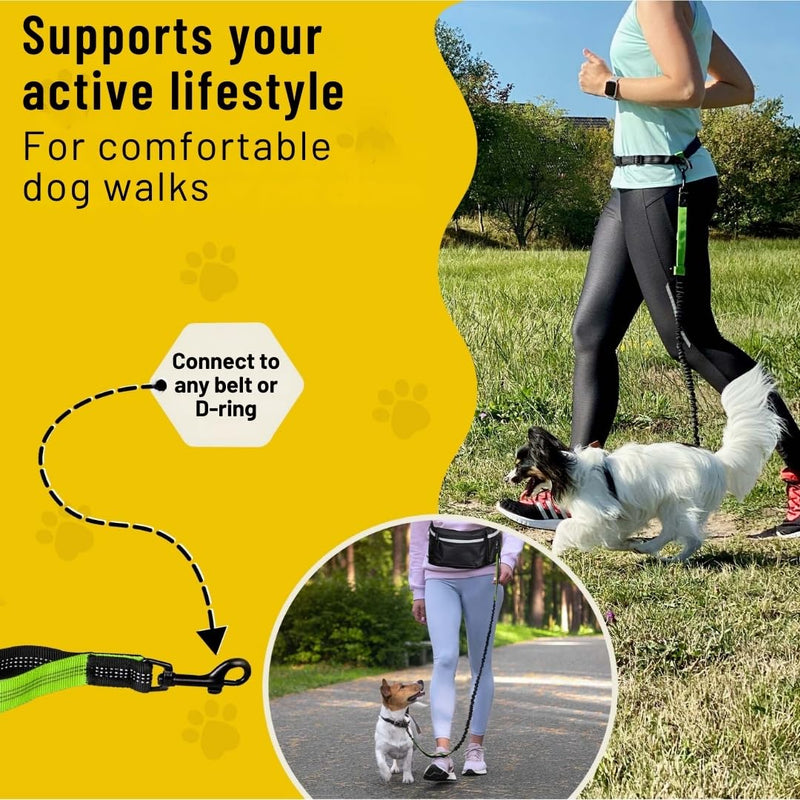 Hundefreund Hands-Free Dog Leash Replacement Bungee (43–63”) – Extension for Small Dogs – Shock-Absorbing with Dual Handles & Reflective Stitching (Green) - BeesActive Australia