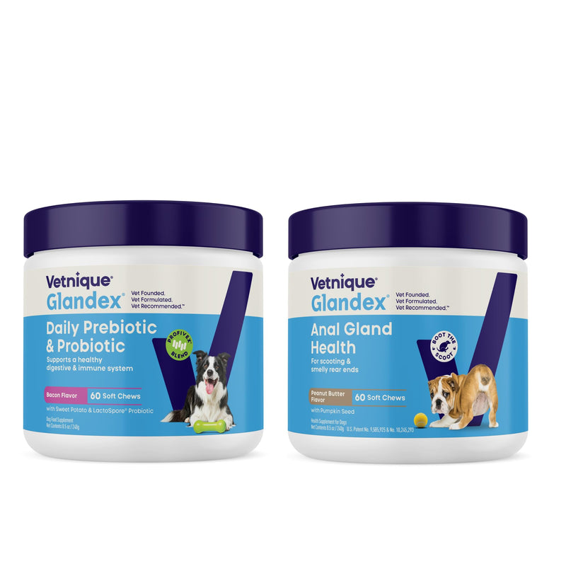 Vetnique Glandex for Dogs Prebiotic & Probiotic Supplement Chews 60 Count Bacon Flavor Plus Glandex Anal Gland Support Chews 60 Count Peanut Butter Flavor, 5-Strain Probiotics for Dogs Bundle