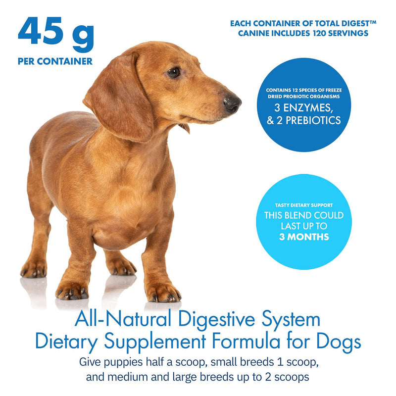 Total Digest™ Canine Probiotics and Enzymes for Dogs, All-Natural Digestive System Dietary Supplement Formula for Dogs (120 Days) - BeesActive Australia
