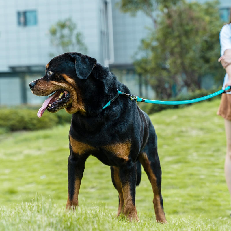Dog Leash, Braided Rope Traction – Walking Training Lead for Medium/Large Dogs ((1/2") - 6FT, Light Blue) (1/2") - 6FT - BeesActive Australia