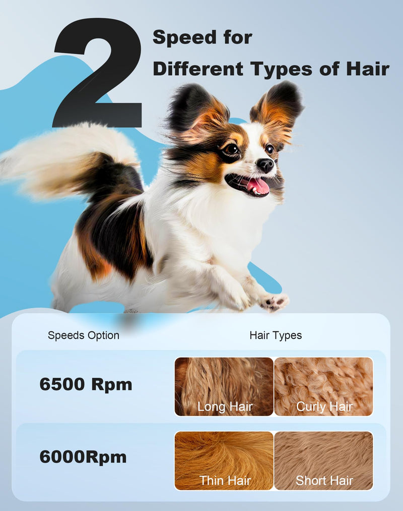 3 in 1 Small Dog Grooming Kit, 2 Speed Rechargeable Dog Hair Clippers with Guards, Low Noise Electric Dog Paw Trimmer & Nail Grinder, Cordless Pet Shaver for Small Dogs and Cats(White) White - BeesActive Australia