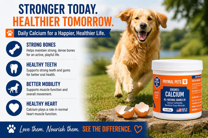 Eggshell Calcium for Pets - 7 oz. Natural, Ultra-Pure Egg Shell Mineral Powder Supplement for Cats and Dogs - High Absorption, Helps Support Bone, Joint, Teeth, Heart, Immune Health Regular ESC 7oz