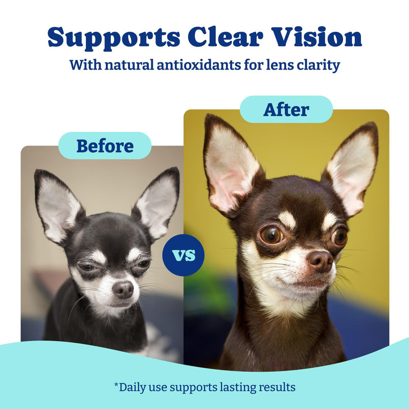 Dog Eye and Liver Wellness Bundle – Vision Support Chews with Antioxidants and Omega-3s Plus Milk Thistle Liver Detox Chews with NAC and Curcumin – Natural Daily Health Support for Dogs of All Breeds