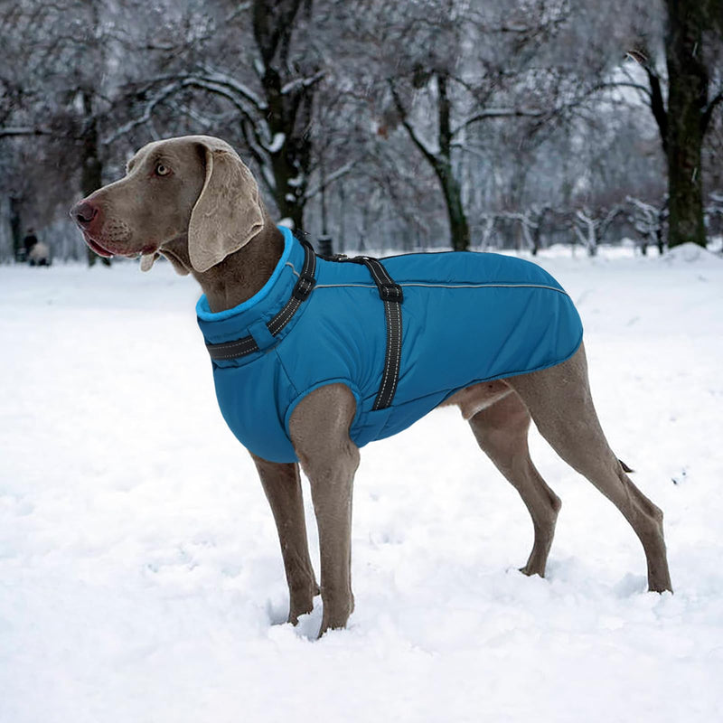 Lelepet Dog Coat,XX-Large Dog Coat with Harness Waterproof Dog Jacket Warm Dog Winter Coat with Harness Dog Fleece Jacket Dog Padded Vest Dog Snow Jacket Reflective Dog Coats for Large Dogs,Weimaraner XX-Large Blue - BeesActive Australia