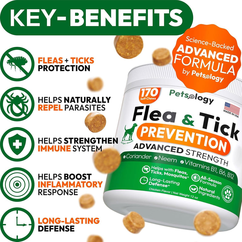 (2 Pack) Flea and Tick Prevention for Dogs Pills - 340 Chews - Natural Dog Flea & Tick Control - Oral Defense Treatment for Dogs Supplement - Vet Formulated - All Breeds & Ages - Made in USA Chicken 340 Chews - Value Pack