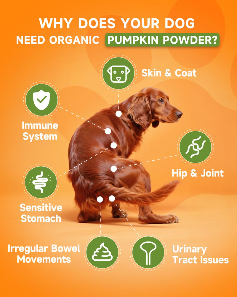 Dog Pumpkin Powder & 9 in 1 Mushroom Powder