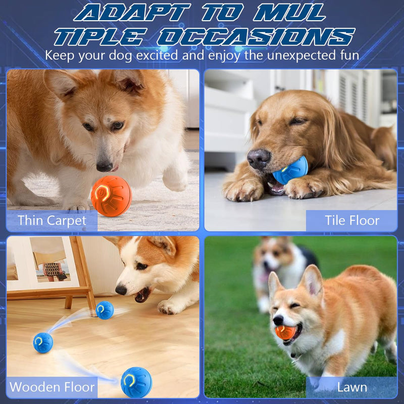 2 Pcs Shaky Ball Toy for Dogs,2025 New Shaky Dog Ball,Upgrad Interactive Dog Ball Automatic Moving Dog Toy Ball,USB Rechargeable Vibrating Dog Ball Remote Control Pet Ball for All Dogs(Orange+Blue) - BeesActive Australia