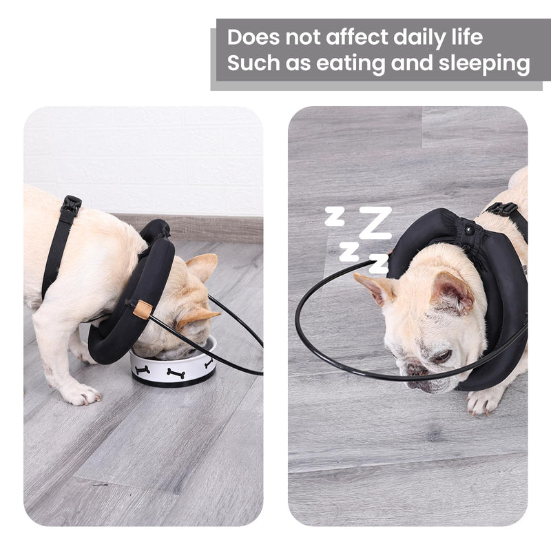 Adjustable Anti-Collision Ring Harness for Blind Pets – Lightweight Guiding Collar for Dogs and Cats with Vision Impairment or Eye Injuries (Black, XL) Black XL (Refer Size Chart) - BeesActive Australia