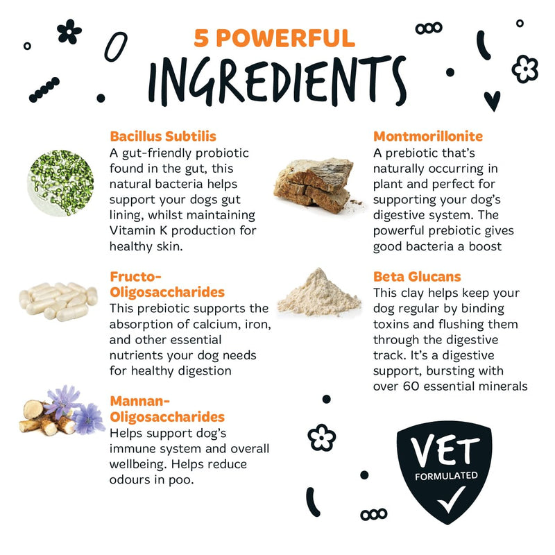 Bugalugs Probiotics For Dogs - Powder, Simple To Add To Food - Complete Daily Digestive Support With Probiotics & Prebiotics For Happy Healthy Dogs (80g) 80g