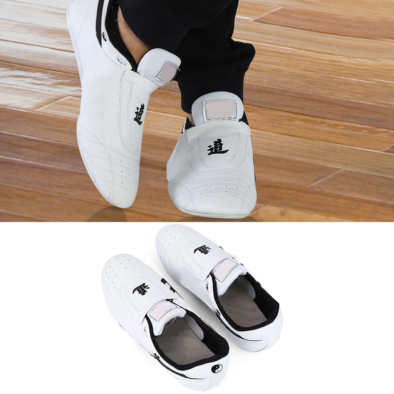 Dilwe Kong Fu Shoes, Reliable Taekwondo Shoes for Men and Women Children, White 37 M EU
