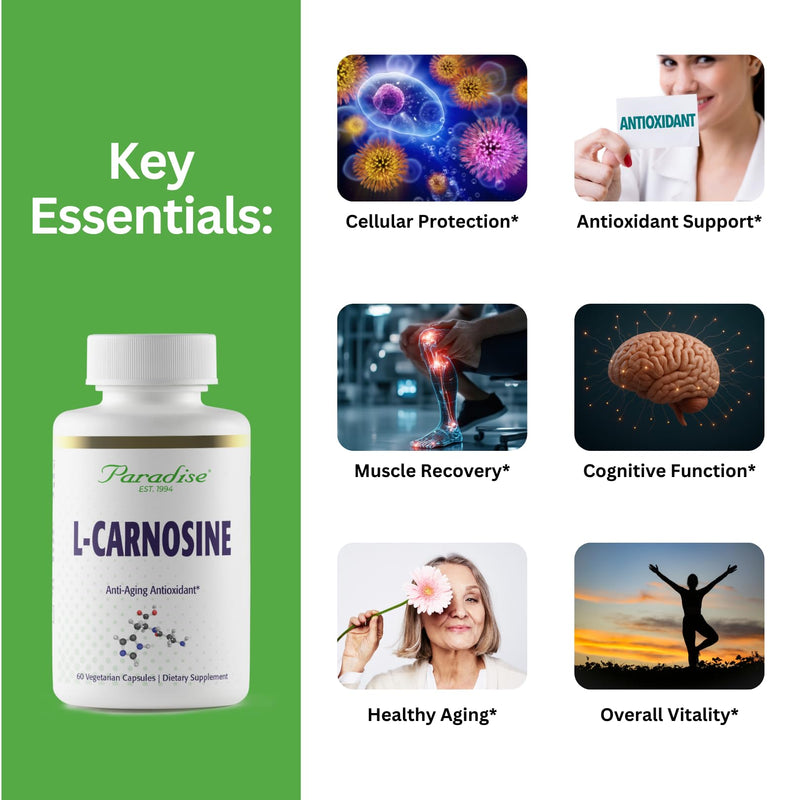 Paradise Herbs L-Carnosine Vegan Non-GMO Gluten Free 60 Capsules | Ultra pure dietary supplement in vegetarian form, daily servings with amino acid support and clean-label formulation
