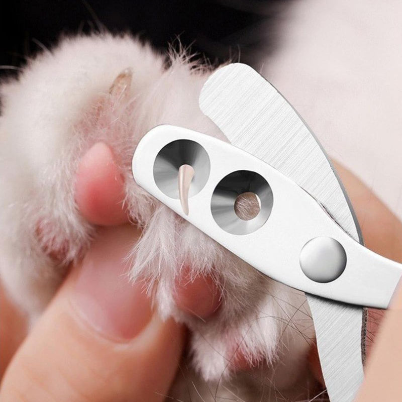 Pack of 6 cat nail scissors set, cat claw scissors with 2 mm and 4 mm holes with file, suitable for small pets such as cats, dogs, hamsters, etc. - BeesActive Australia