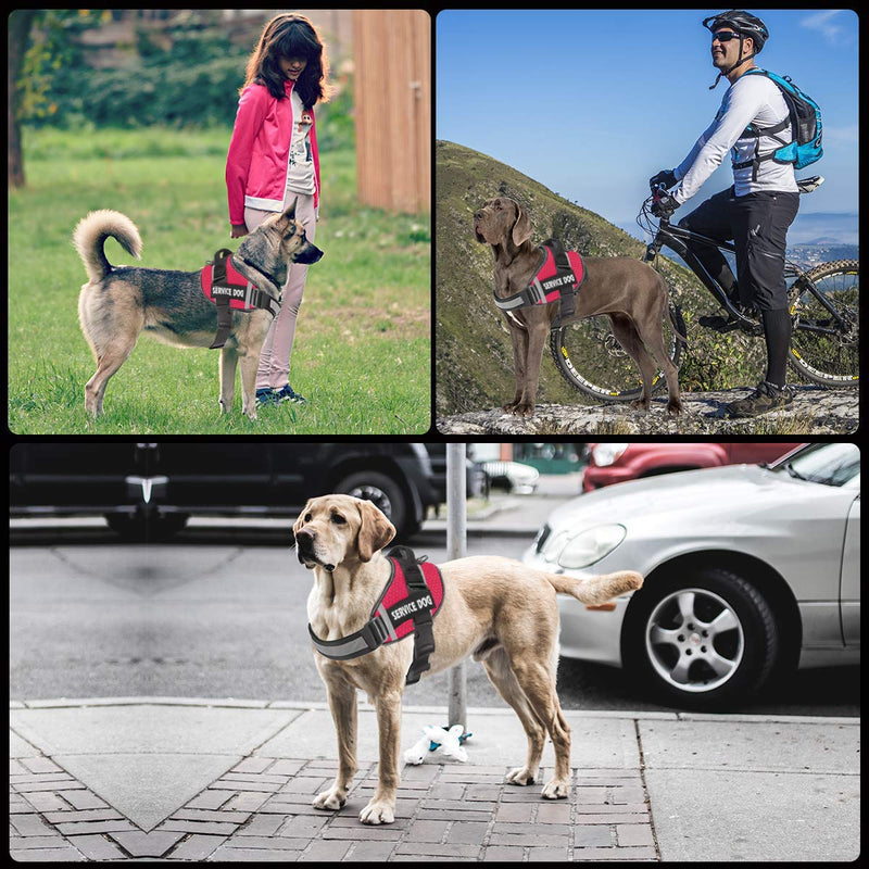 Dog Harness,No-Pull Service Dog Harness with Handle Adjustable Outdoor Pet Dog Vest 3M Reflective Nylon Material Vest for Breeds,Easy Control for Small Medium Large Dogs Red - BeesActive Australia