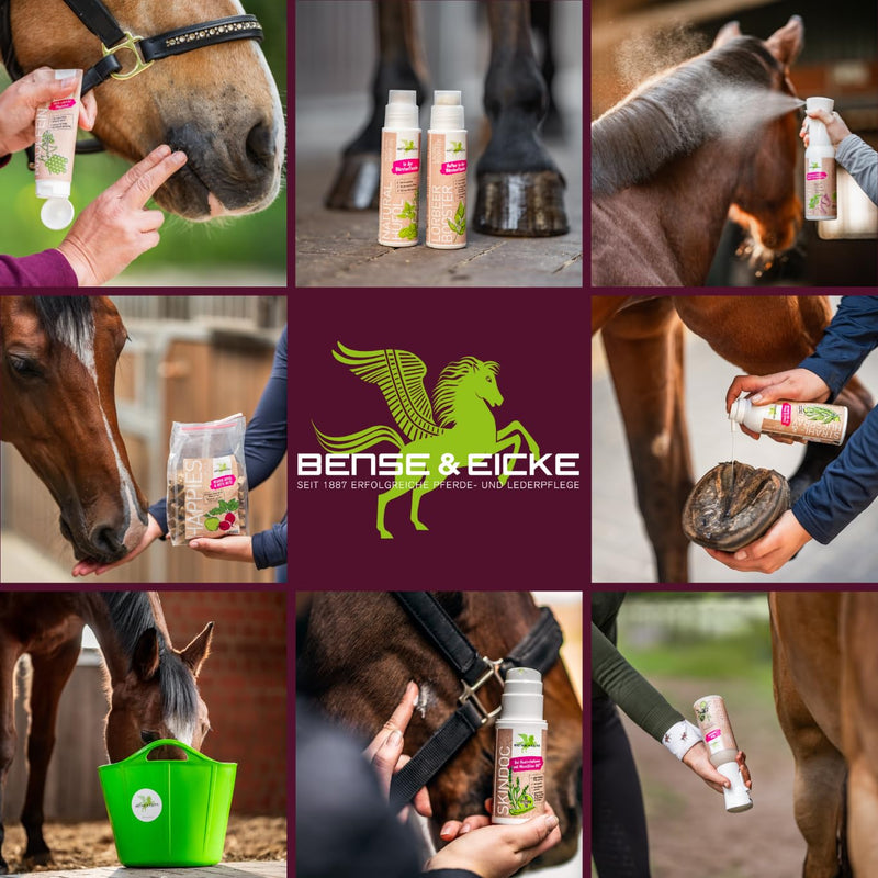 Bense & Eicke MaulFein 100 ml - Natural Care Balm for Horses with Honey, Beeswax and Witch Hazel Protects and Keeps Skin Elastic