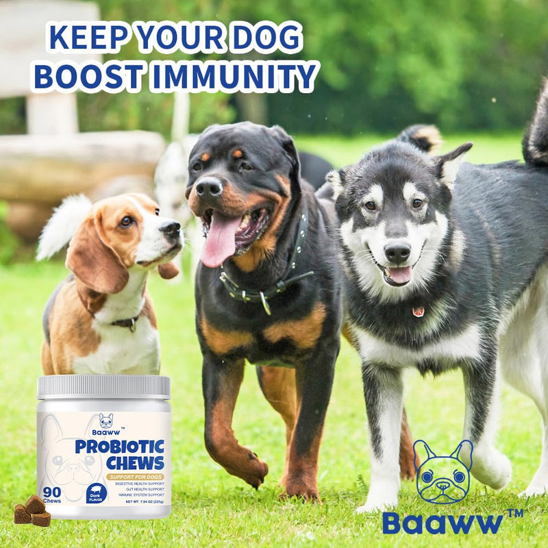 Probiotics for Dogs, Instant Diarrhea Relief, Dog Immune Support Chews, Digestive Health, Skin Irritation, Allergies, 6 Billion CFU's, 90 Pork Flavor Soft Chews for All Dog Sizes