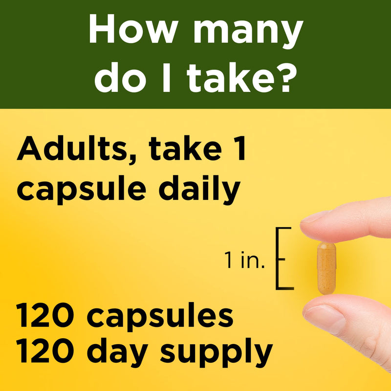 Nature Made Turmeric Curcumin 500 mg, Herbal Supplement for Antioxidant Support, 120 Capsules, 120 Day Supply 120 Count (Pack of 1) - BeesActive Australia